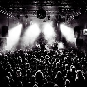 galeriebild