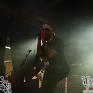 galeriebild