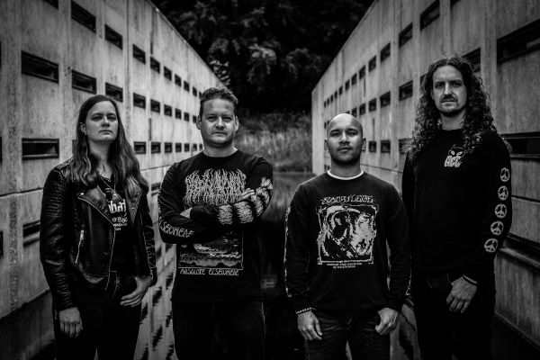 Band LineUp